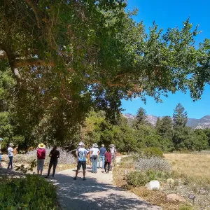 Climate walk in support of the Global Climate Strike