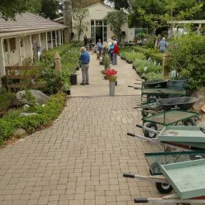 2019 Fall Plant Sale Preview Party