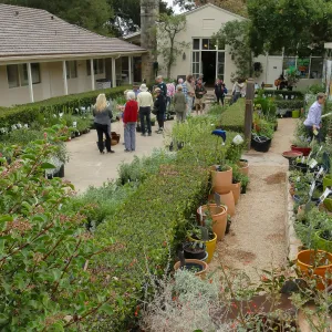 2019 Fall Plant Sale Preview Party