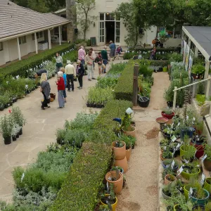 2019 Fall Plant Sale Preview Party