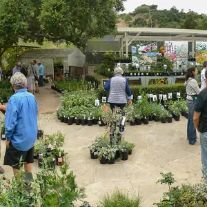 2019 Fall Plant Sale Preview Party