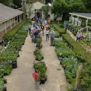 2019 Fall Plant Sale Preview Party