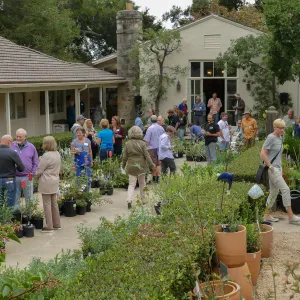 2019 Fall Plant Sale Preview Party