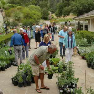 2019 Fall Plant Sale Preview Party