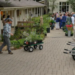 2019 Fall Plant Sale Preview Party