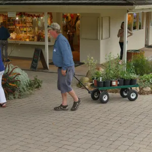 2019 Fall Plant Sale Preview Party