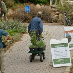 2019 Fall Plant Sale Preview Party