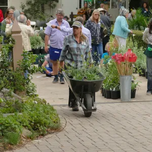 2019 Fall Plant Sale Preview Party