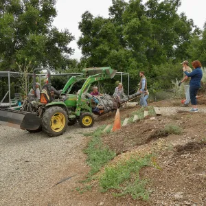 Moving a Lophocereus schottii cactus collected in 1996 from the canyard to the Island View Garden