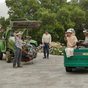 Moving a Lophocereus schottii cactus collected in 1996 from the canyard to the Island View Garden