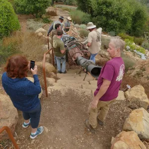 Moving a Lophocereus schottii cactus collected in 1996 from the canyard to the Island View Garden