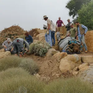 Moving a Lophocereus schottii cactus collected in 1996 from the canyard to the Island View Garden