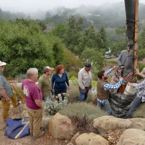 Moving a Lophocereus schottii cactus collected in 1996 from the canyard to the Island View Garden