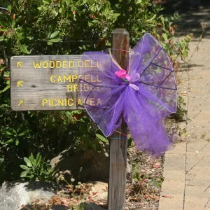 Fairy Homes & Nature Crafts Workshop