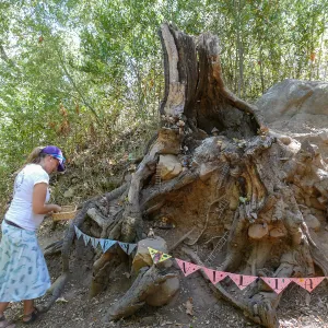 Fairy Homes & Nature Crafts Workshop, Fairy Village Display
