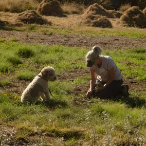 Wednesday volunteer crew working in the Meadow