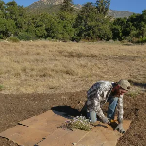 Dan Hite demonstrating sheet mulching