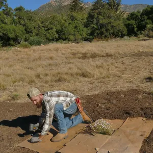 Dan Hite demonstrating sheet mulching