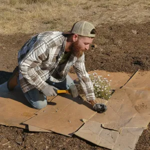 Dan Hite demonstrating sheet mulching