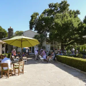 Summer Sips: â€œWhat Wines and Lichens Have in Commonâ€ with Rikke Naesborg