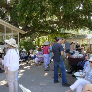 Summer Sips: â€œWhat Wines and Lichens Have in Commonâ€ with Rikke Naesborg