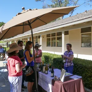 Summer Sips: â€œWhat Wines and Lichens Have in Commonâ€ with Rikke Naesborg