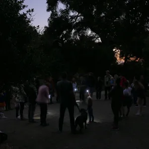 Full Moon Family Night