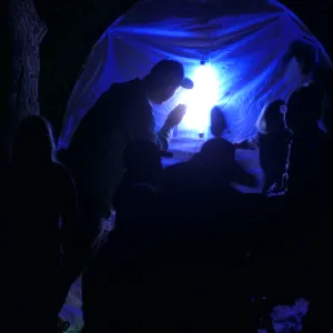 Full Moon Family Night, insect observation station with ultraviolet attacting lamp