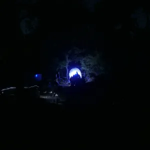 Full Moon Family Night, insect observation station with ultraviolet attacting lamp