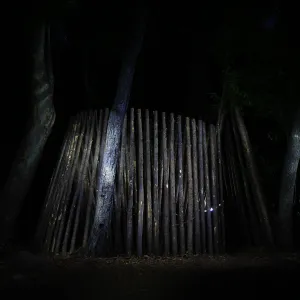 Understory Casita, Full Moon Family Night