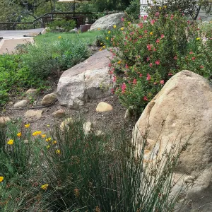Water Wise Home Demonstration Garden