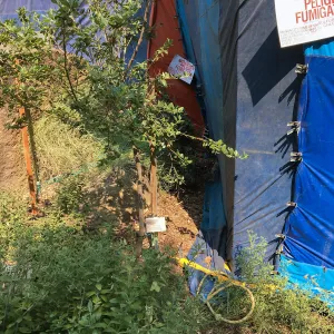 Fumigation of the Herbarium building
