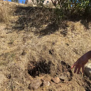 Main line irrigation leak at Mission Canyon Road