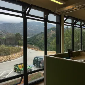 View out north facing window on second floor of Conservation Center