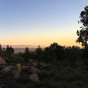 Evening at the Island View Garden