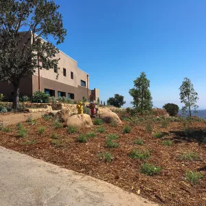 Newly planted landscape at entry walk to Conservation Center