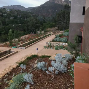 Rare plant collection at the Pritzlaff Conservation Center