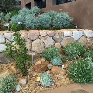 Entrance planting at the Pritzlaff Conservation Center