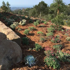 West side of the Island View Garden