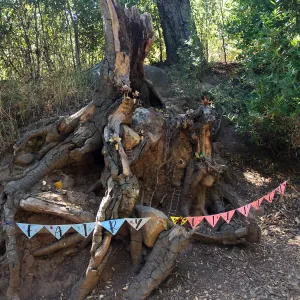 Fairy Homes & Nature Crafts Workshop, Fairy Village Display