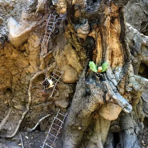 Fairy Homes & Nature Crafts Workshop, Fairy Village Display
