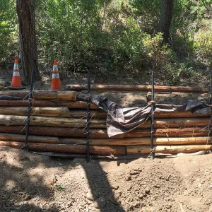 Pritchett Trail work