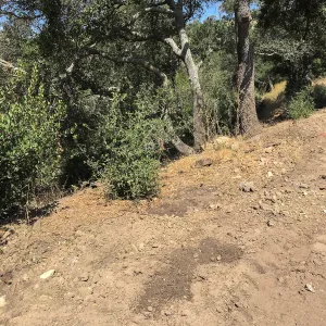 Hansen Site, Hort Barn construction