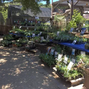 Garden Growers Nursery
