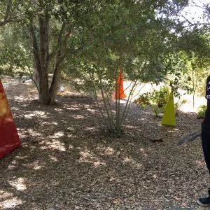 Antonio Sanchez. Sculpture exhibit, Leaning Pine Arboretum, Cal Poly San Luis Obispo