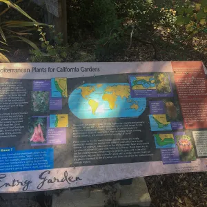 Leaning Pine Arboretum, Cal Poly San Luis Obispo