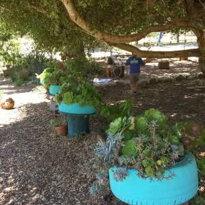 San Luis Obispo Botanic Garden, Childrens Garden