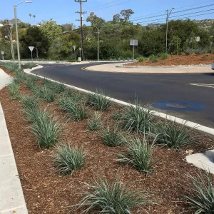 Roundabout at Las Positas and Cliff Drive, Leymus Canyon Prince