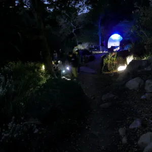 Family Nature Night, searching for insects