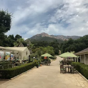 Garden Growers Nursery and Courtyard